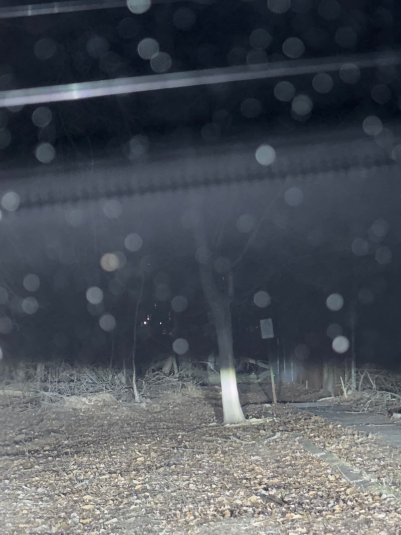 walking near me in Pilgrim Park in winter