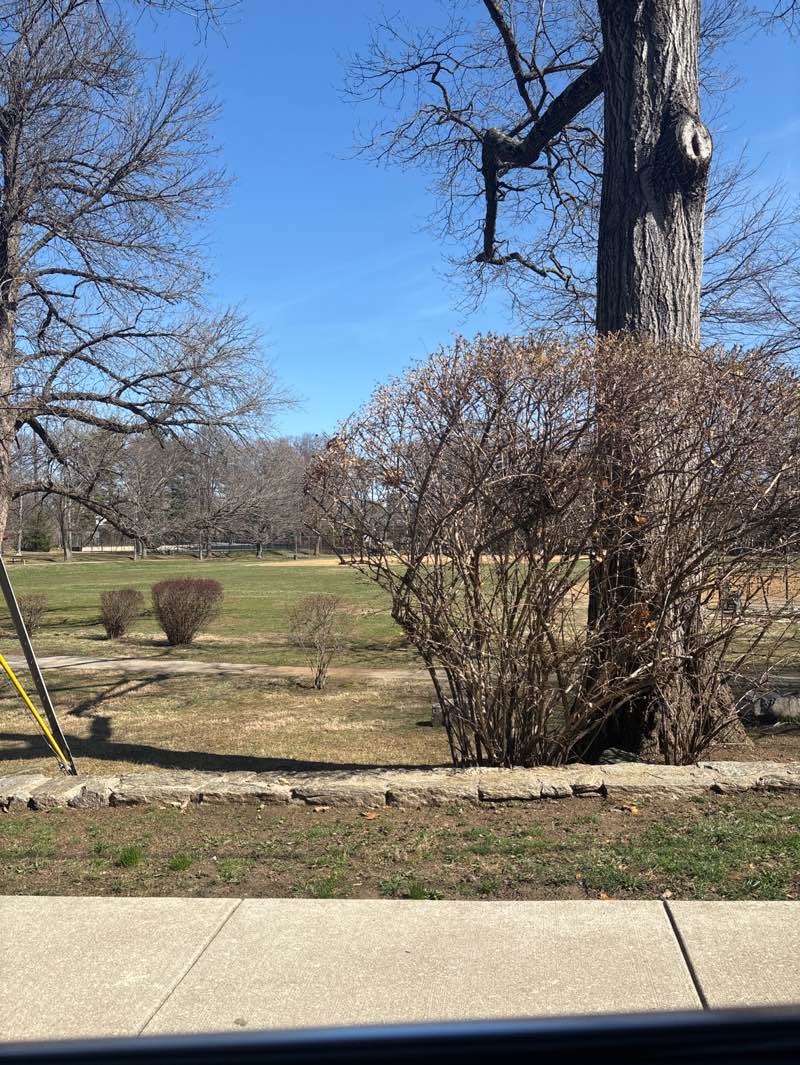 walking near me in Cynwyd Park in spring