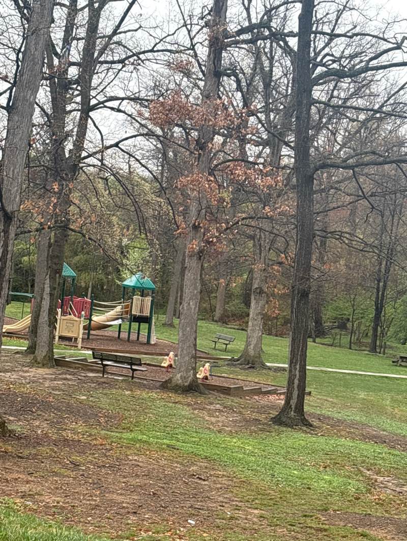 walking near me in Riderwood Hills Park in spring