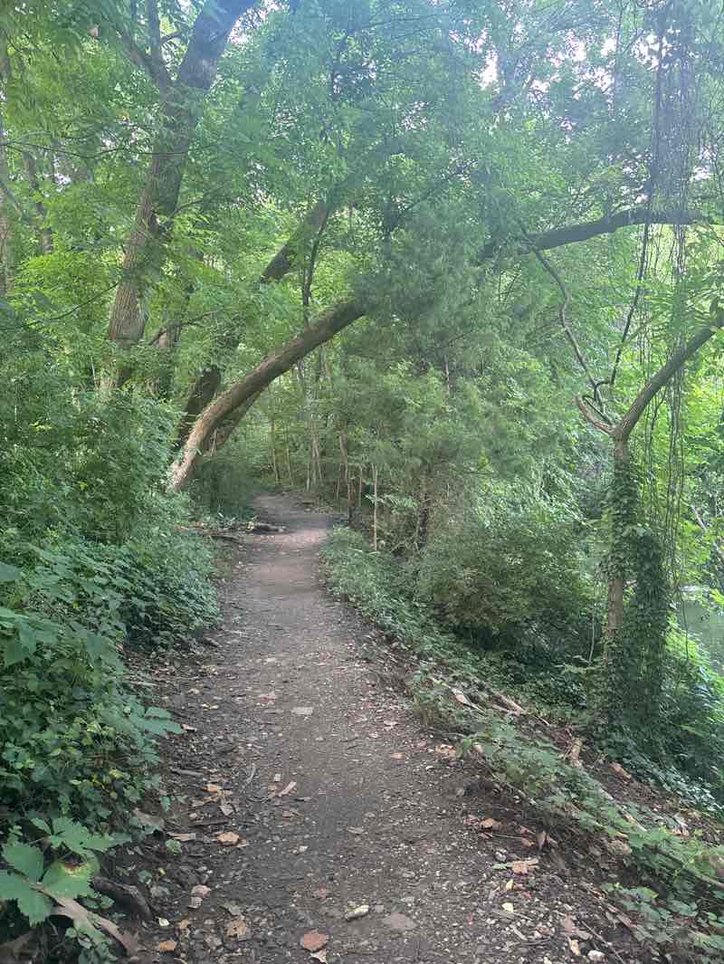 walking near me in Stony Run Park in autumn
