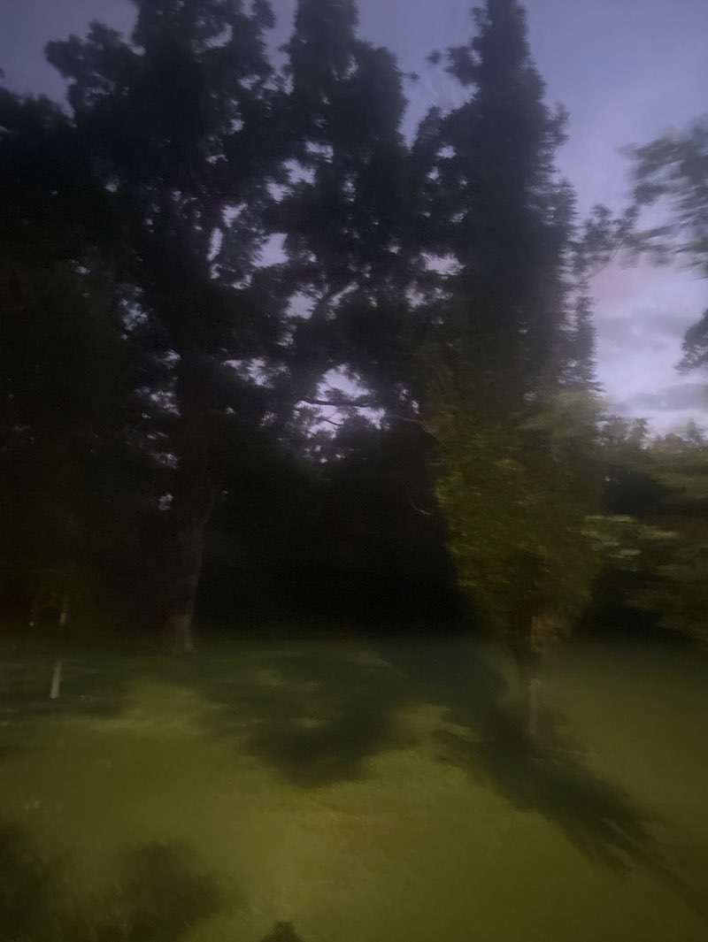 walking near me in Merion Botanical Park in autumn