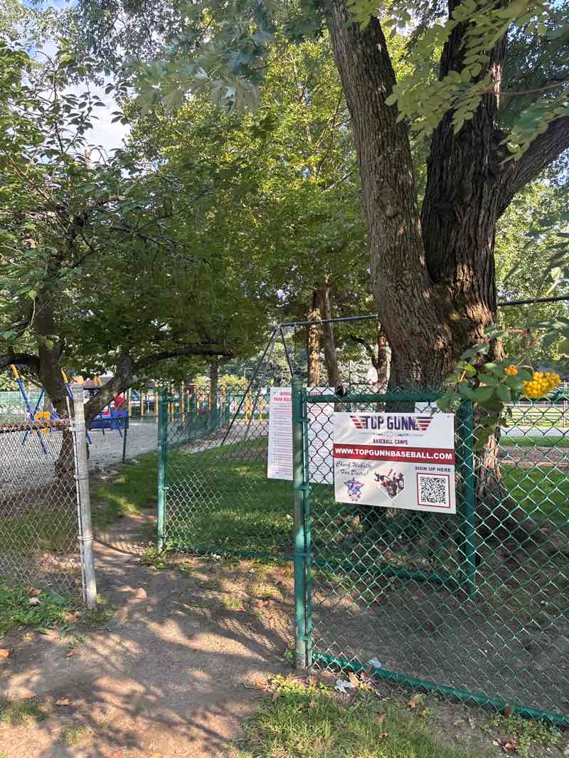 walking near me in Narberth Park in autumn