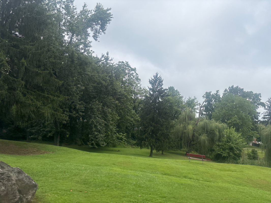 walking near me in Greer Park in autumn