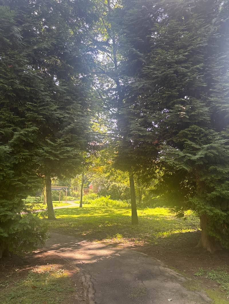 walking near me in Valley Forge Acres Park in autumn