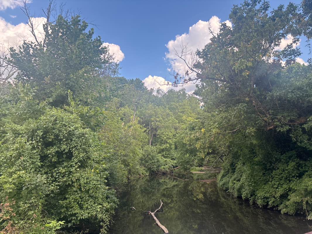 walking near me in Smedley Park in autumn