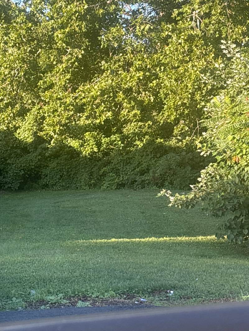 walking near me in Roslyn Park in autumn