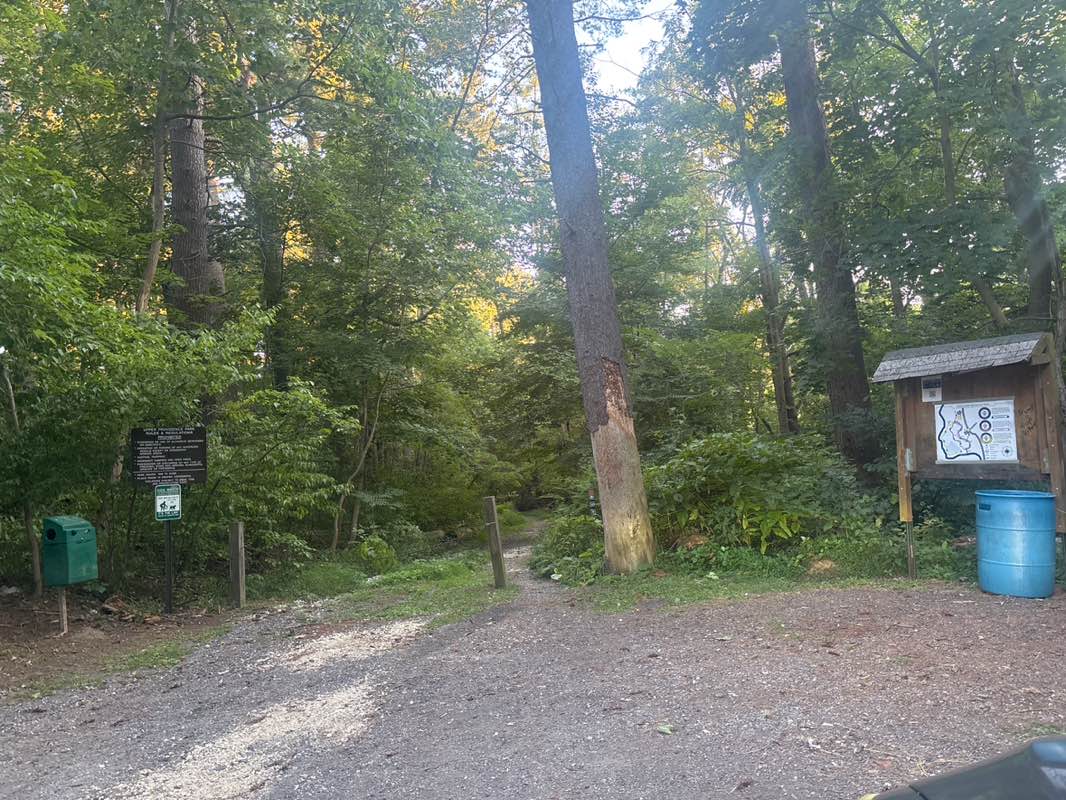 walking near me in Louis Scott Memorial Park in autumn