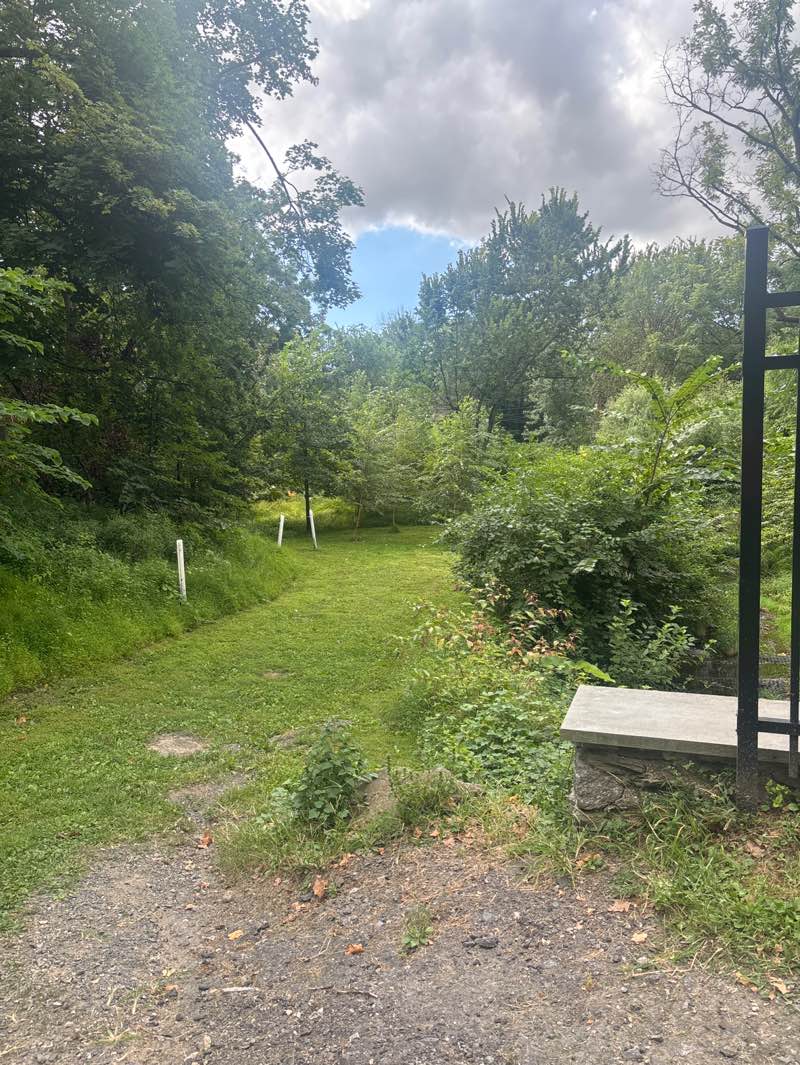 walking near me in Reservoir Park in autumn