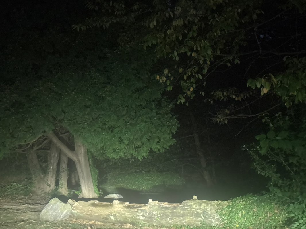 walking near me in Carroll Park in autumn