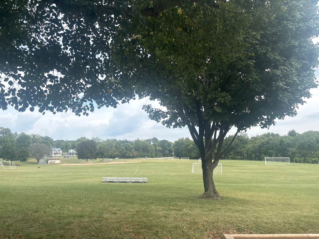 walking near me in Orchard Hills Park in autumn