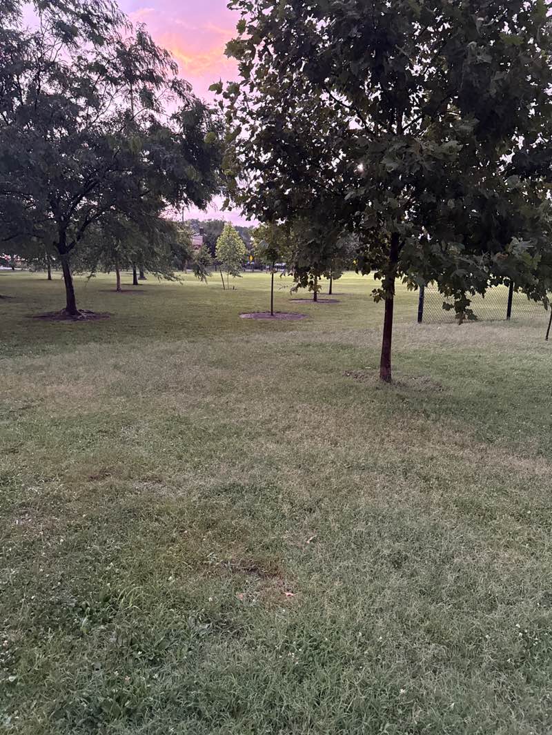 walking near me in Turkey Thicket in summer