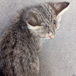 Тёплый 2.0 profile