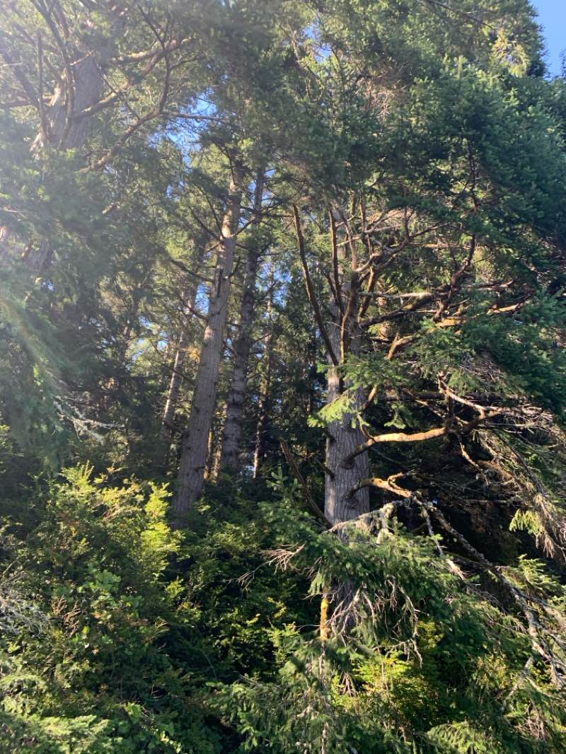 walking near me in William M. Tugman State Park in winter