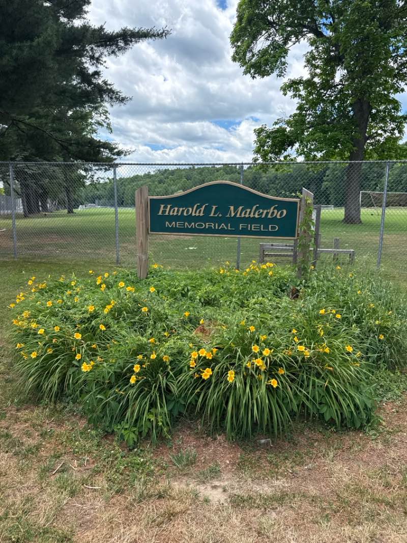 walking near me in Malerbo Rec Complex in summer