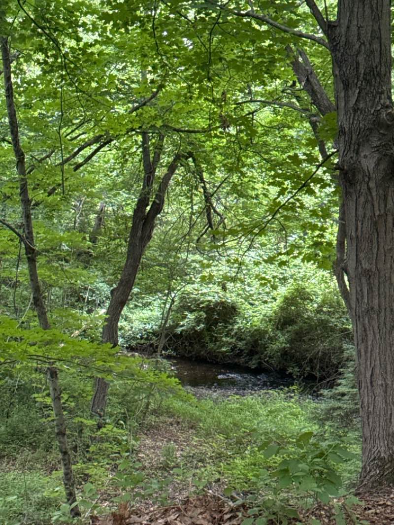 walking near me in Sperry Park in summer