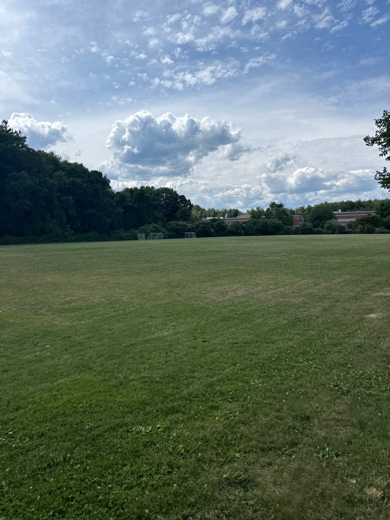 walking near me in Scoville Park and Ballfield in summer