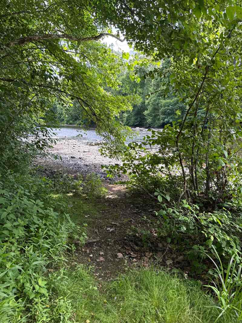 walking near me in Yodkin-Morin Memorial Park in summer