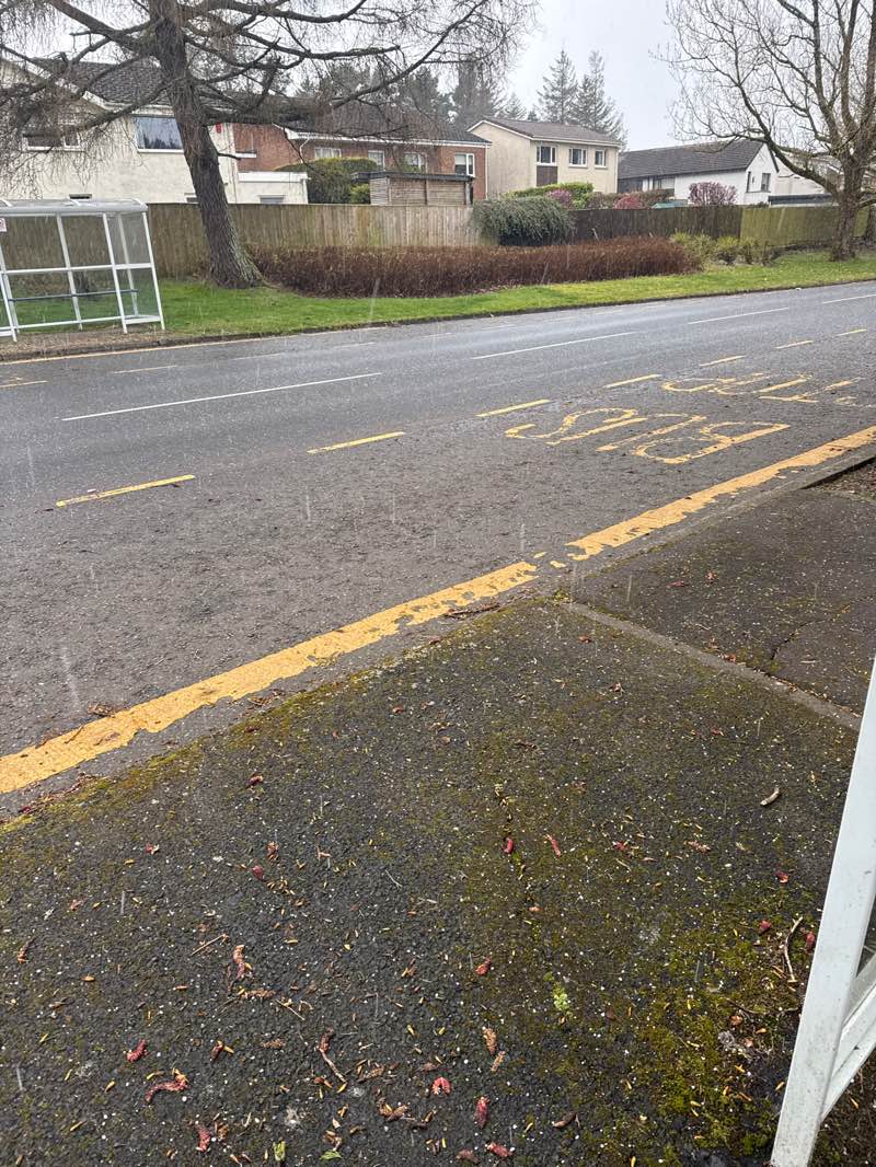 walking near me in Dunedin Public Park in spring
