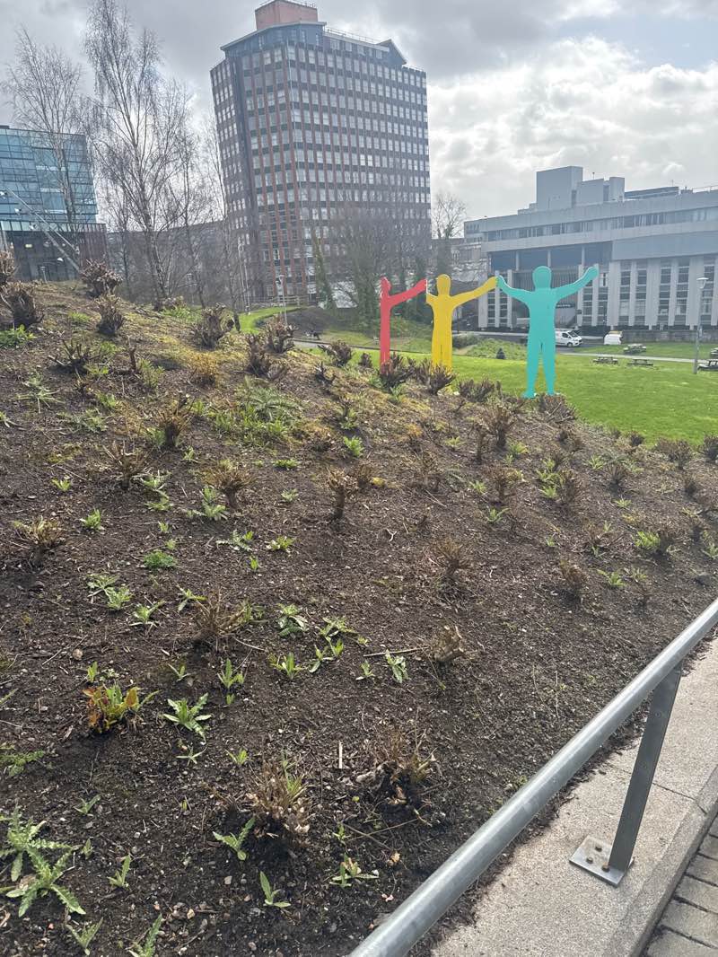 walking near me in Rottenrow Gardens in spring