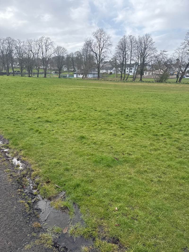 walking near me in Eaglesham Playing Fields in spring
