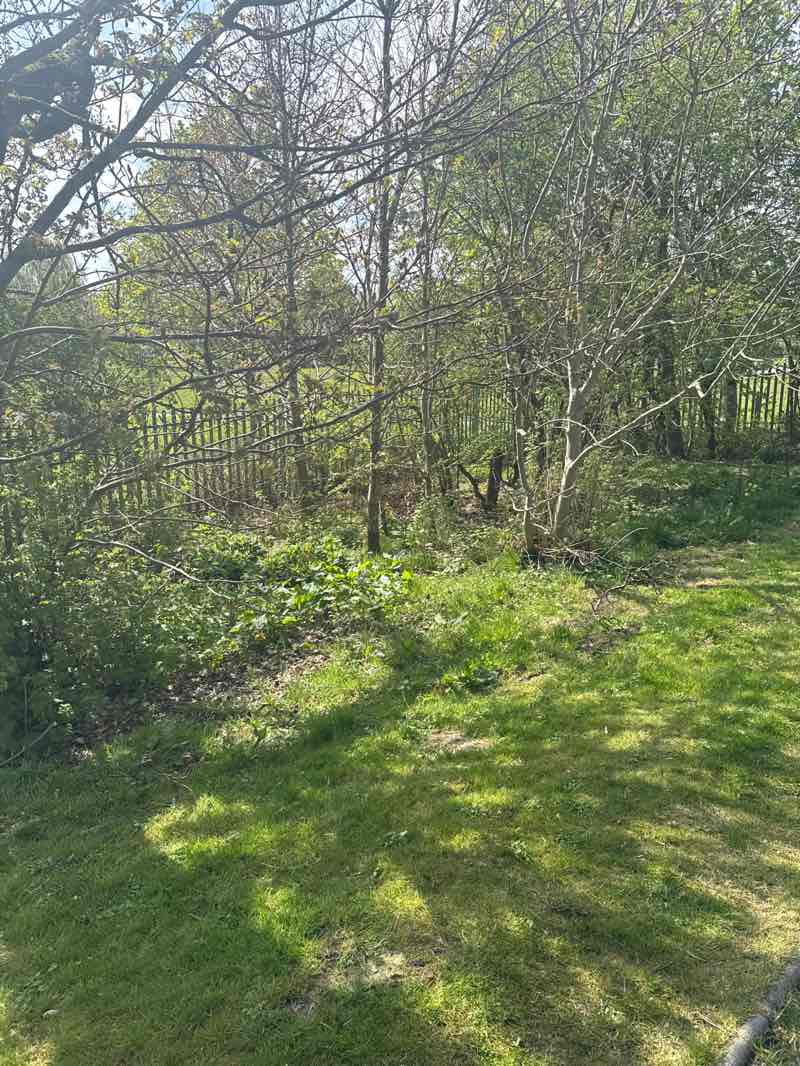 walking near me in Hairmyres / Mossneuk Park in spring