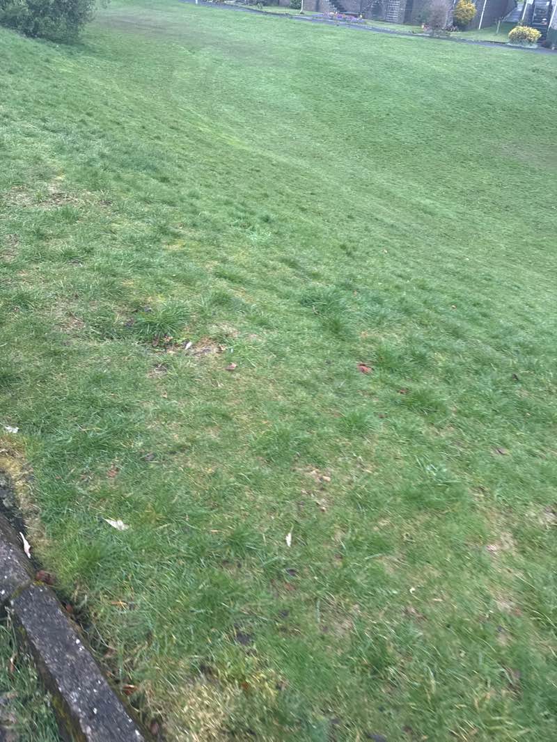 walking near me in The Dipper in spring