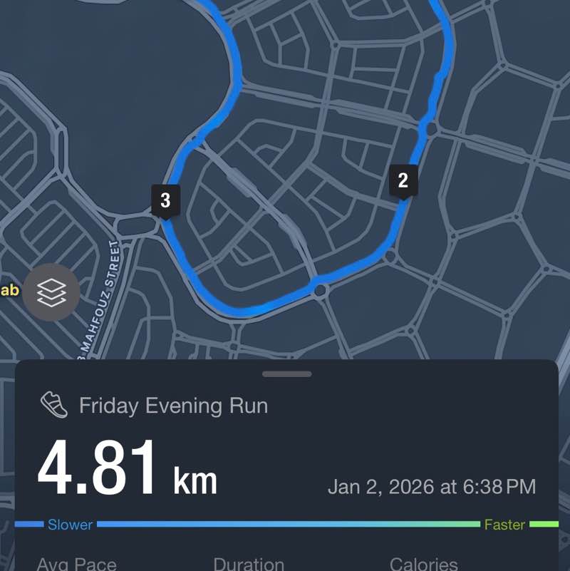 Delta Galil Egypt Koussik post image