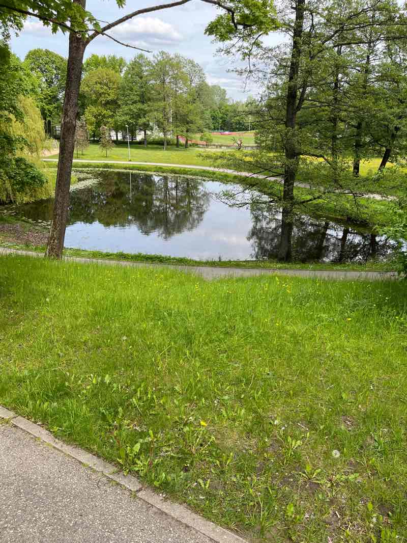 walking near me in Arcadia Park in spring