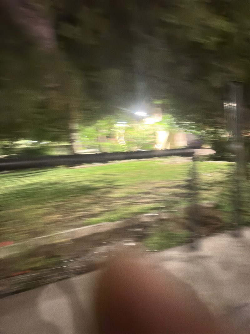 walking near me in Public Park in spring