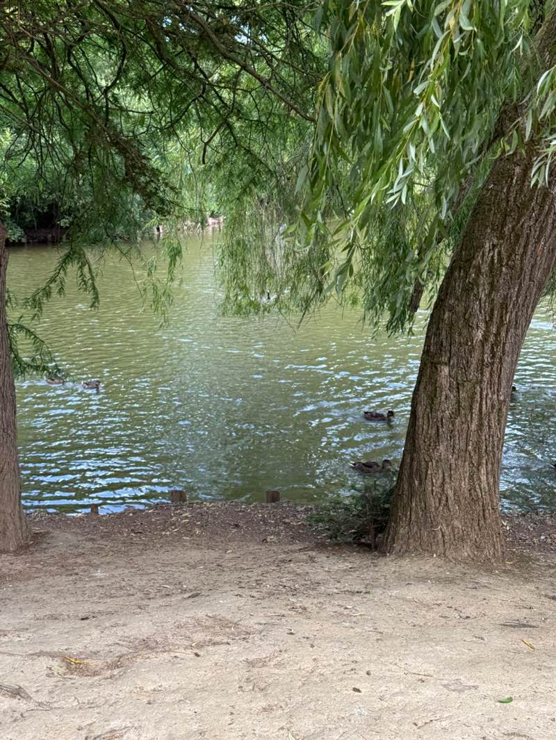 walking near me in Worth Park Lake in summer