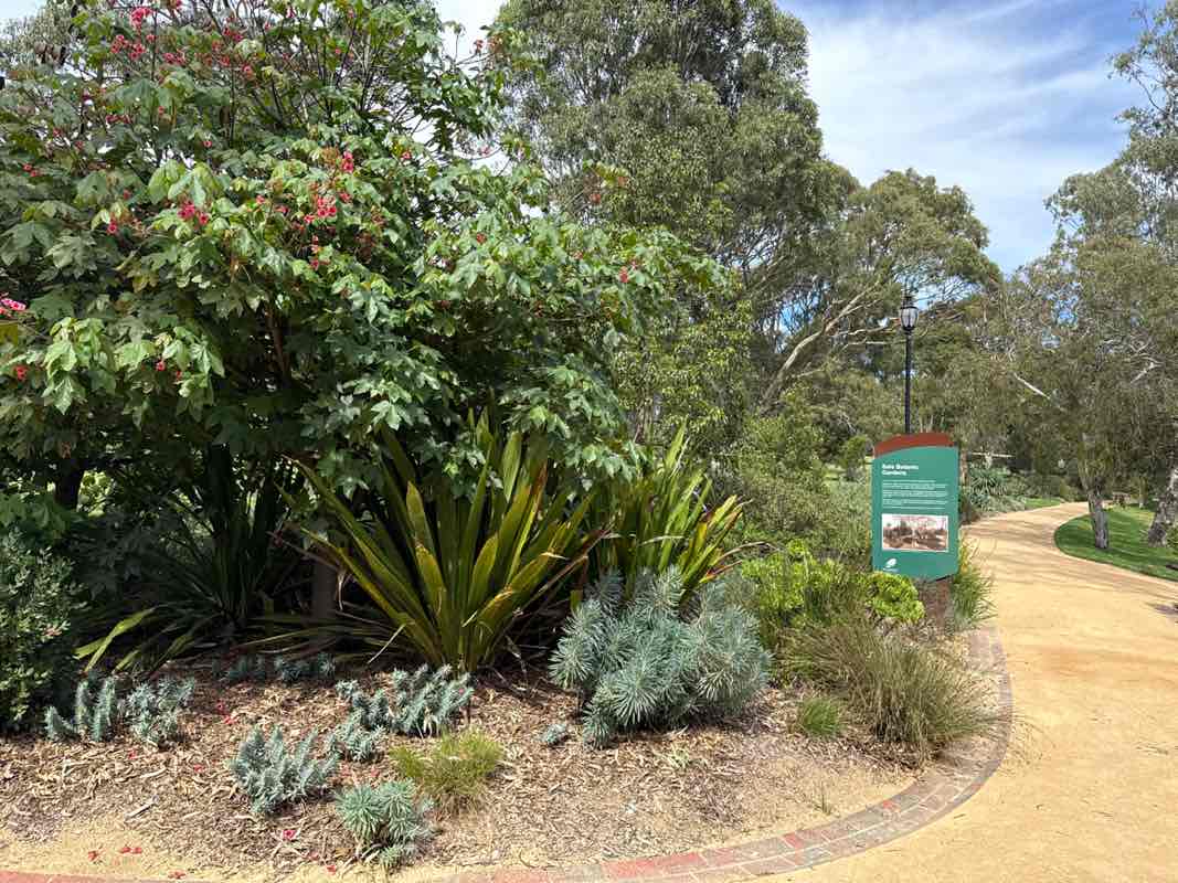 walking near me in Sale Botanic Gardens in autumn