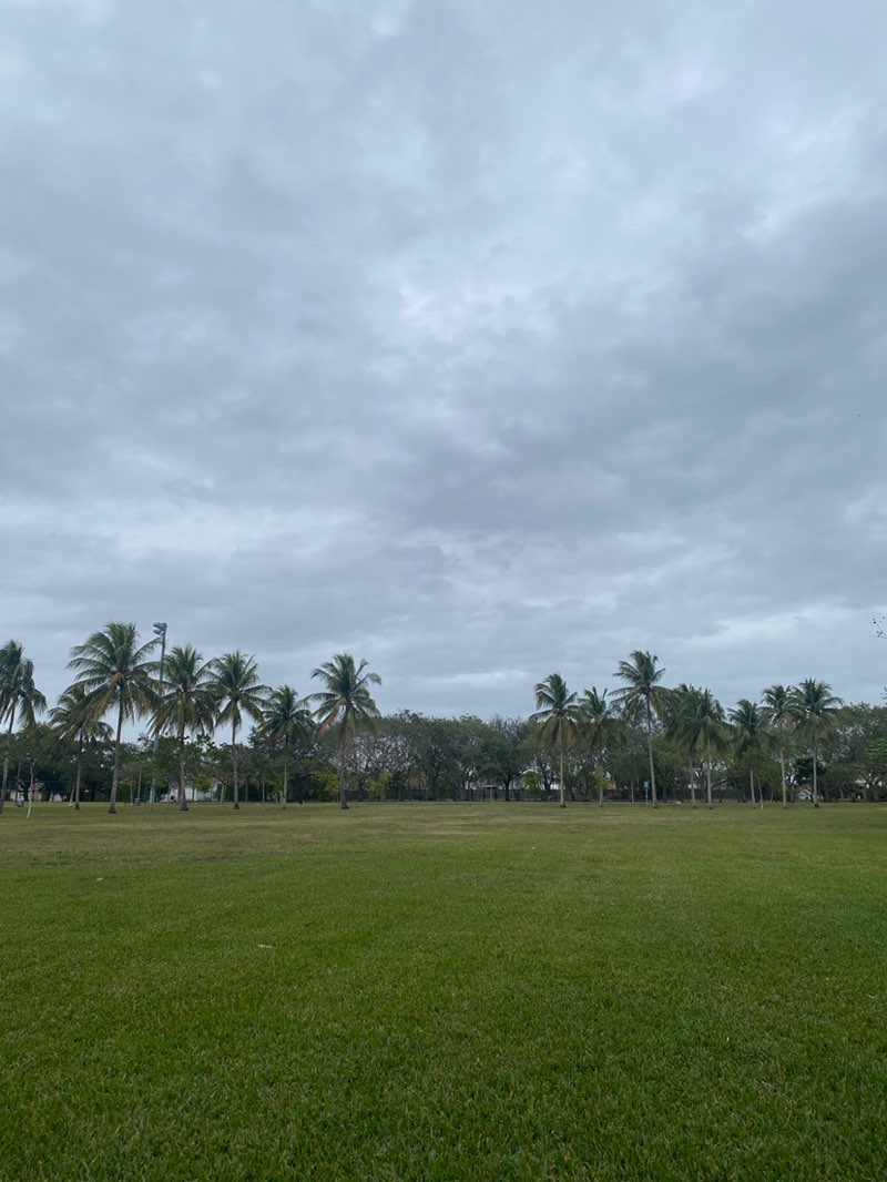 walking near me in Westwind Lakes Community Park in winter
