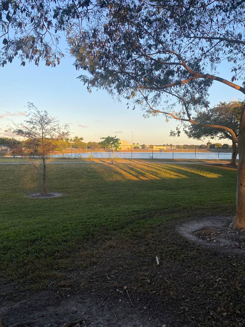 walking near me in Eden Lakes Park in winter
