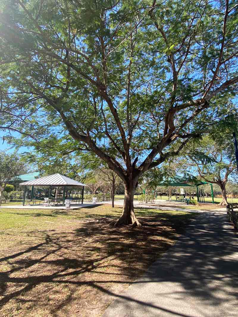 walking near me in Wild Lime Park in winter