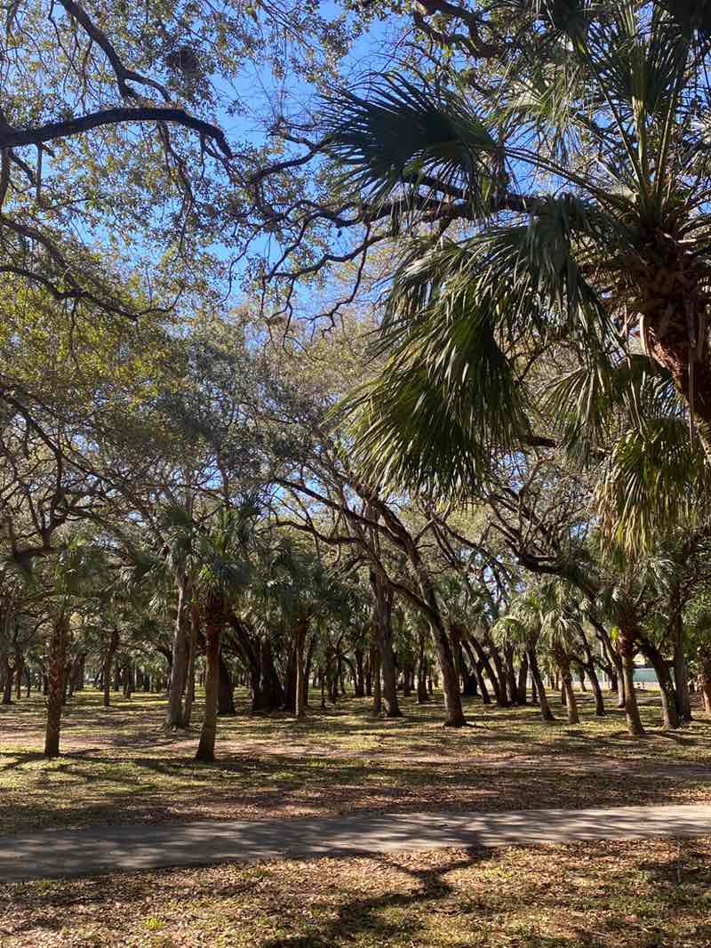 walking near me in Kendall Indian Hammocks County Park in winter