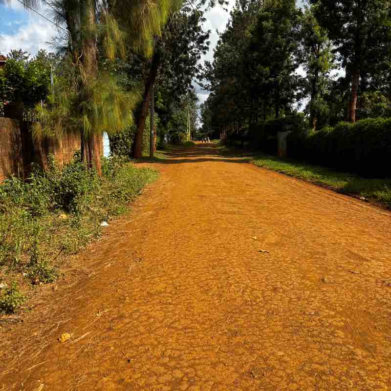 THE BLACK BOYS PacerPal post image