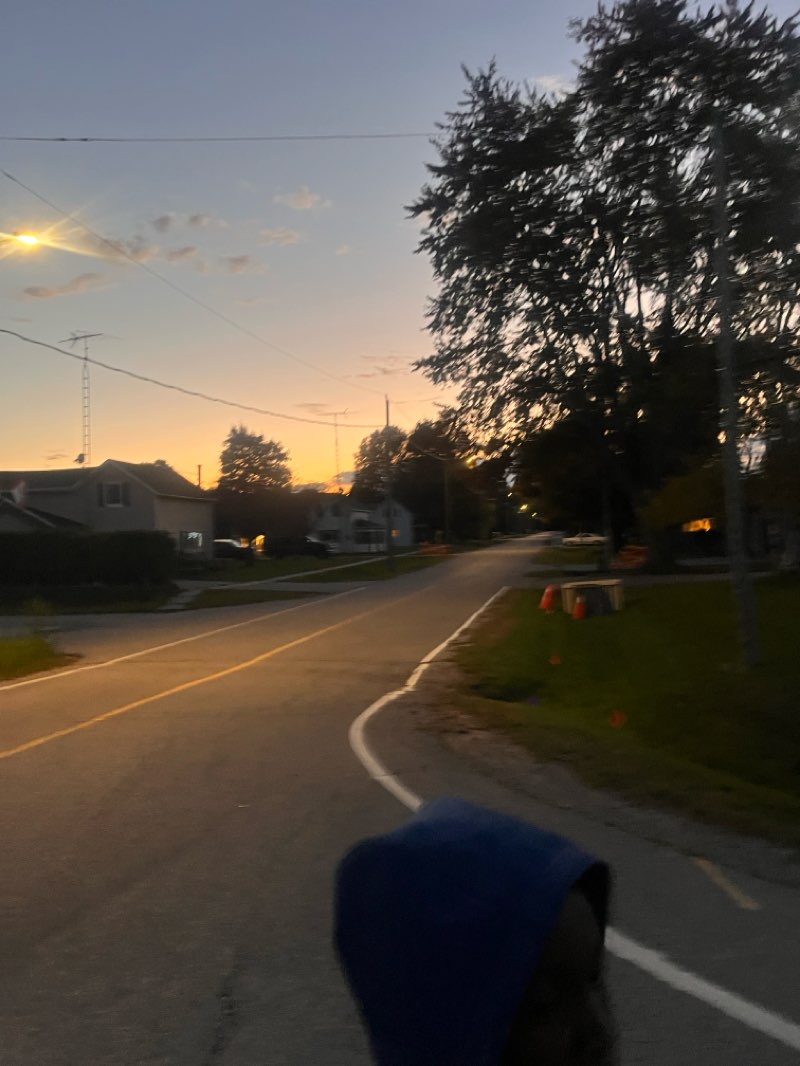 walking near me in Harvey Jackson Memorial Park in autumn