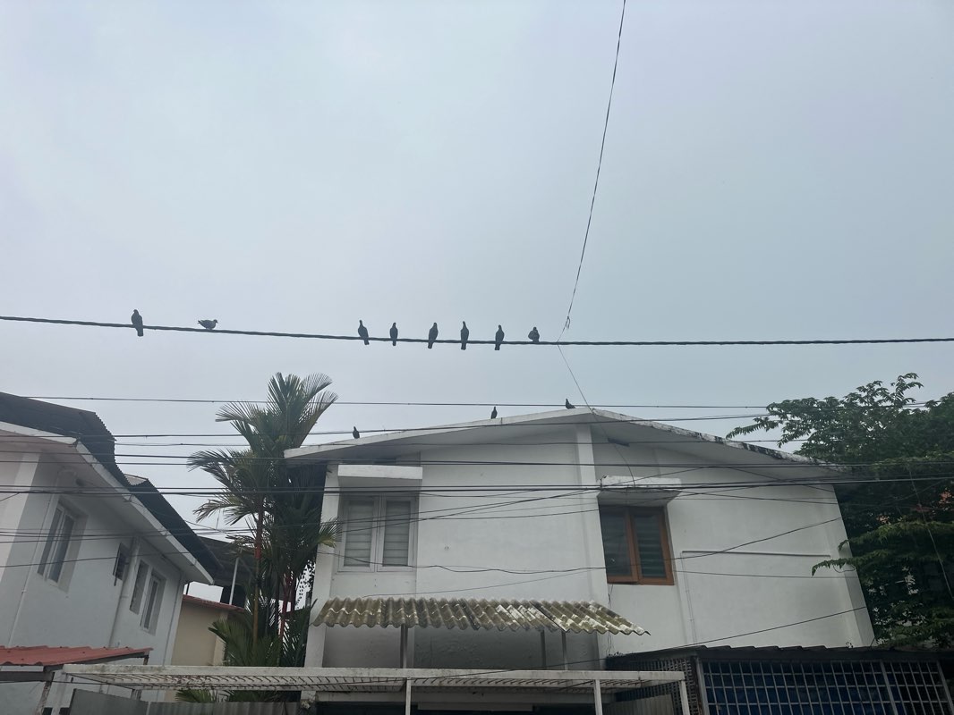 walking near me in Panampilli Park in winter