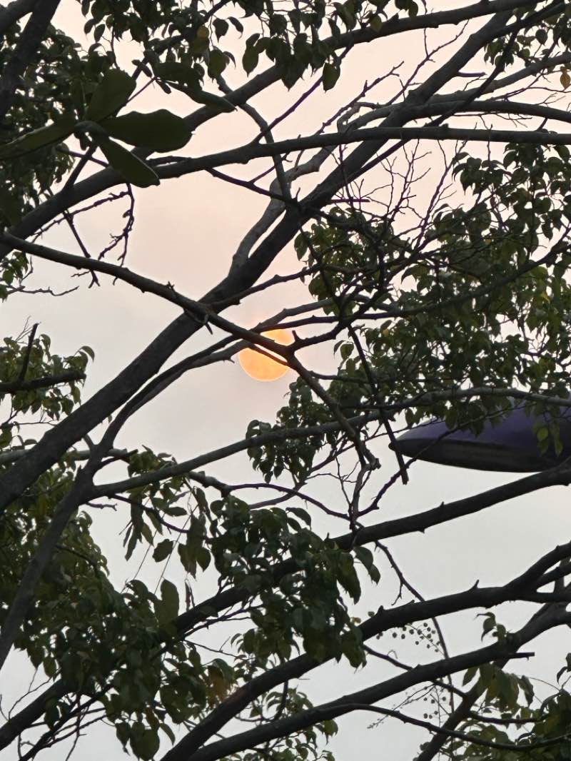 walking near me in Panampilli Park in winter