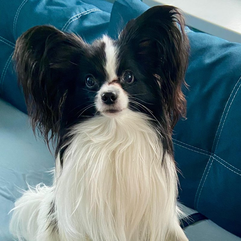 Евгений  profile