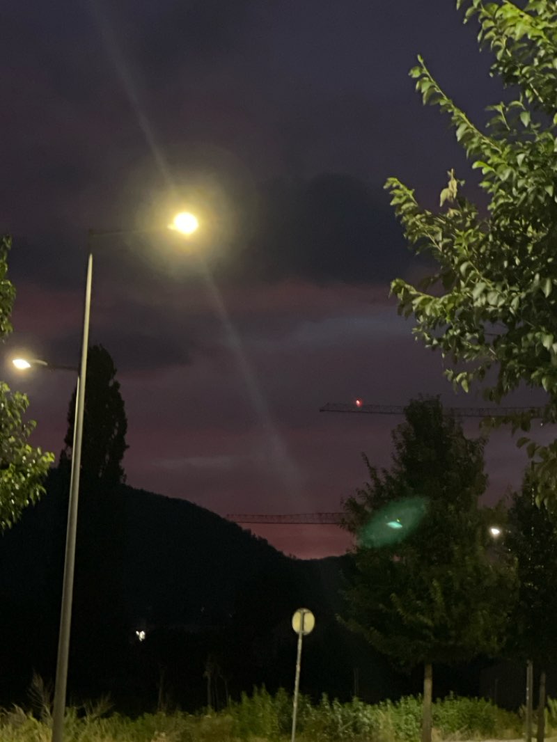 walking near me in Reininghauspark in summer