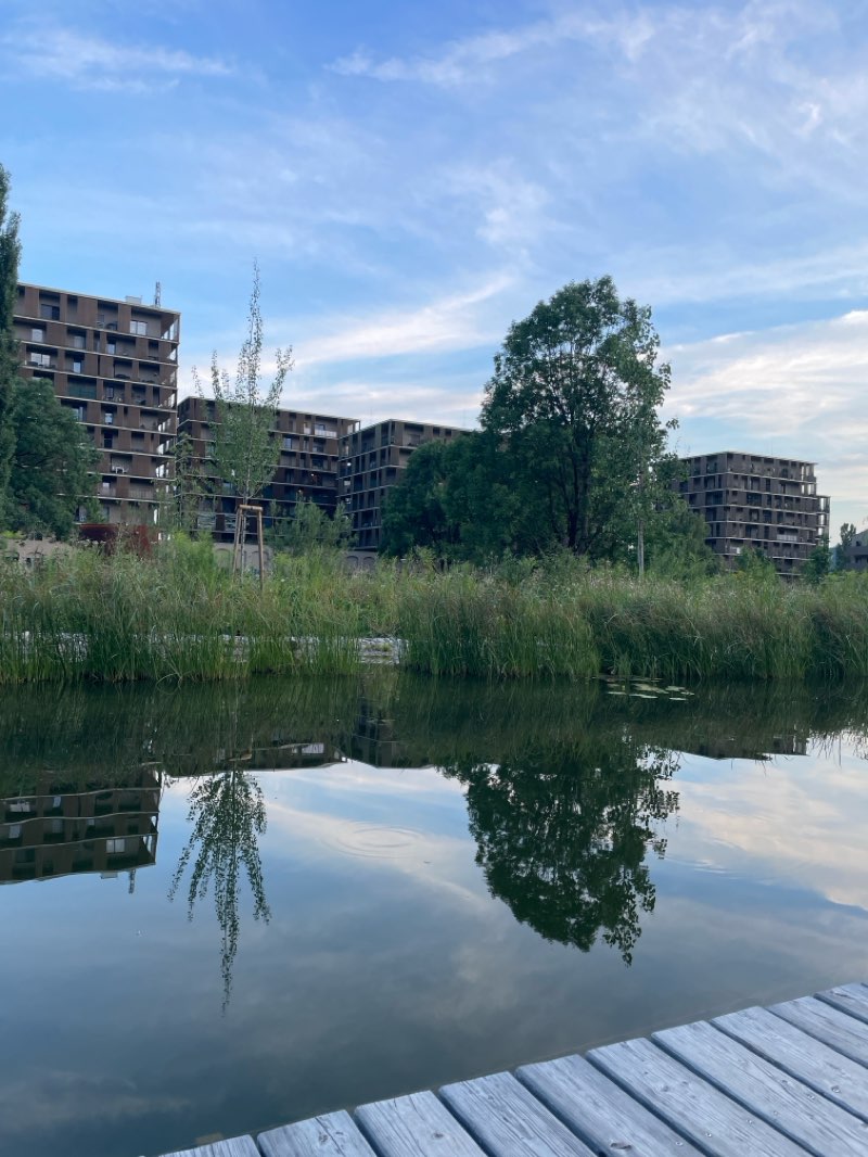 walking near me in Baumhain Reininghaus in autumn
