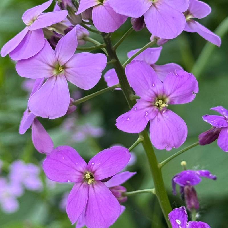 Лариса post 2