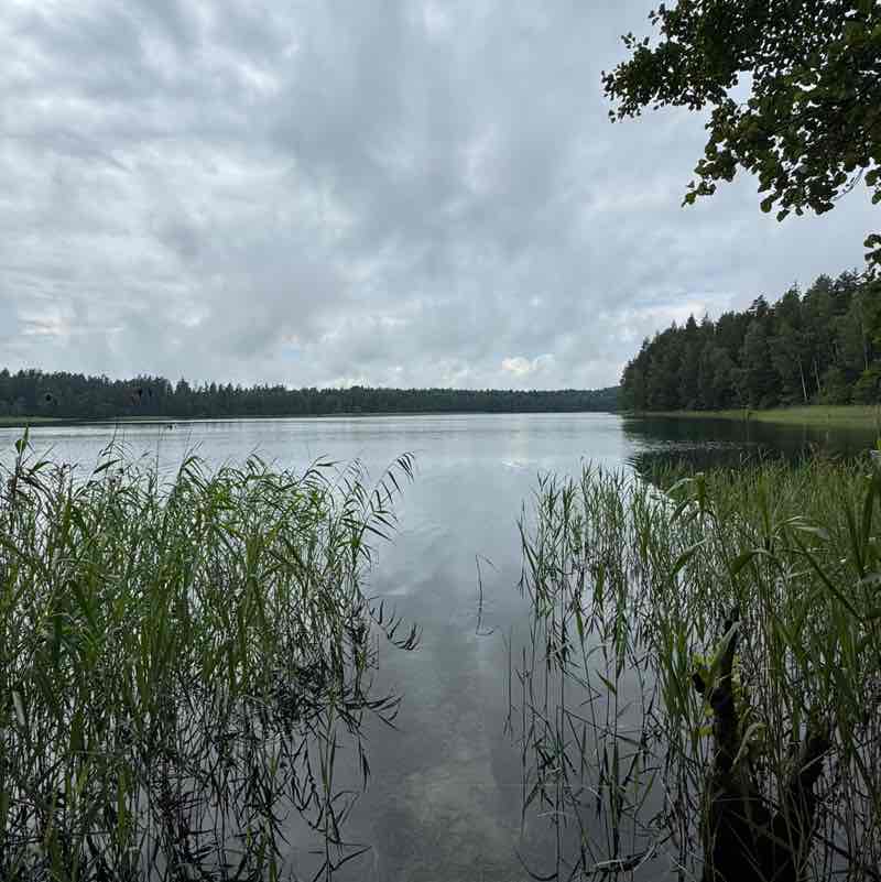 Лариса post 3