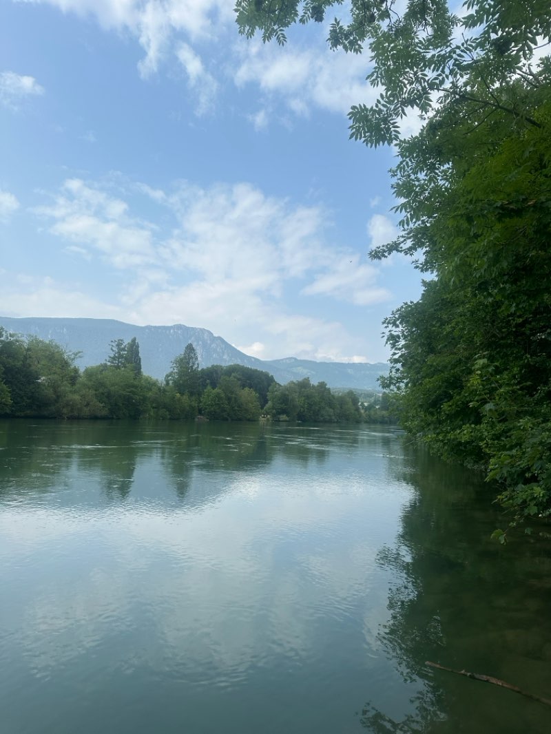 walking near me in Oberfeldpark in summer