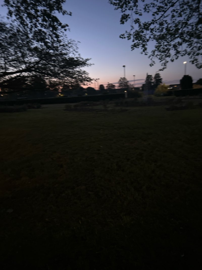 walking near me in Harvey Park in spring