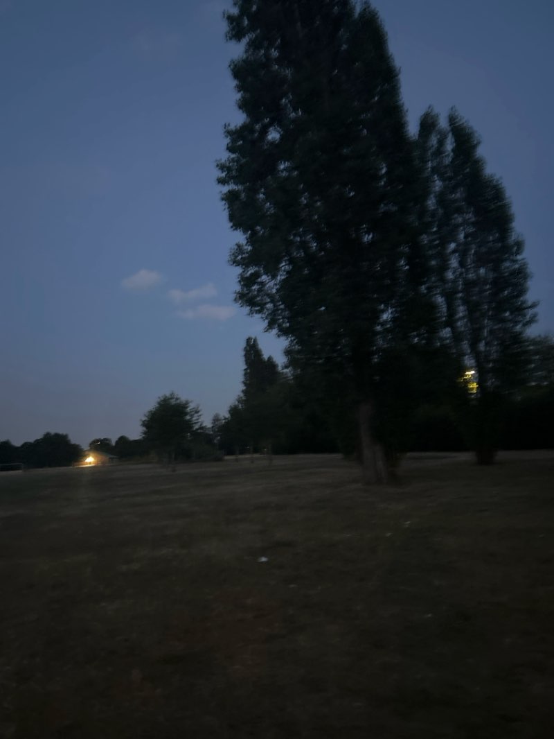walking near me in Kedermister Park in summer