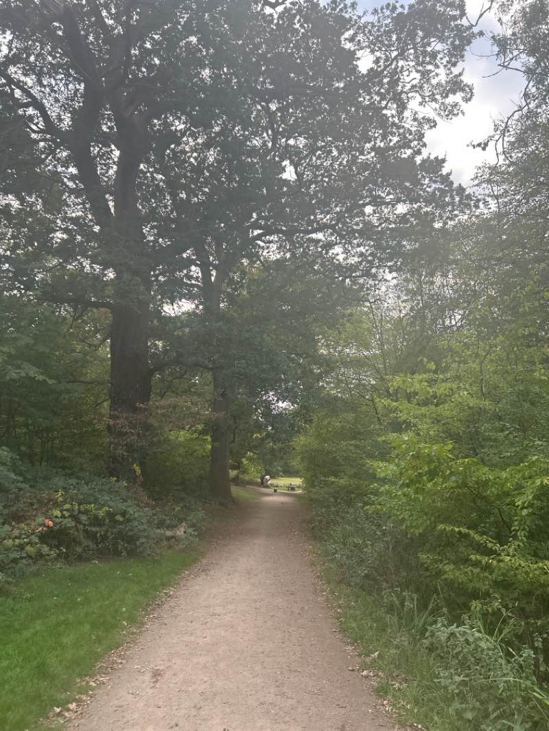 walking near me in St Michael's Green in autumn
