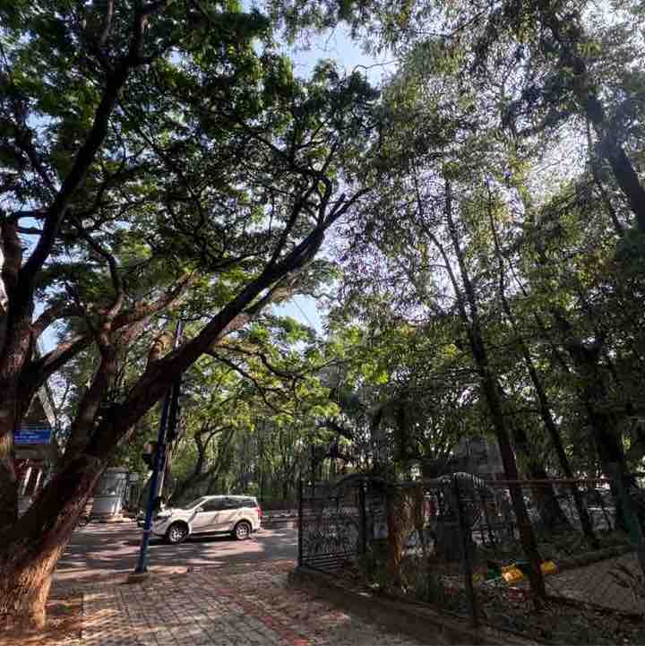 Chandra Kumar post 1