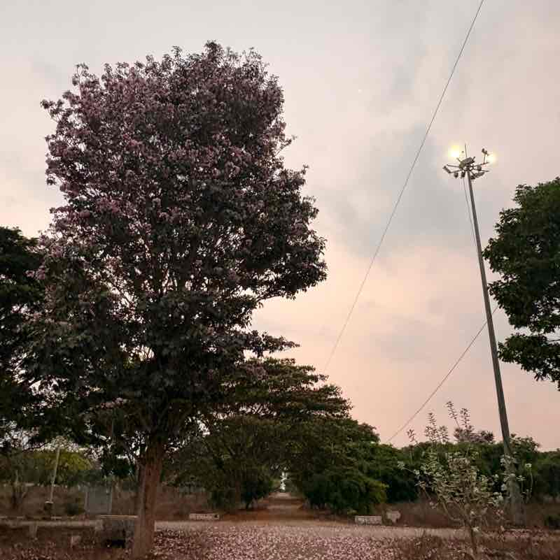 Chandra Kumar post 3